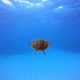 Image for article titled Holy crap, these entries from Nat Geo's 2012 Photo Contest are absolutely gorgeous